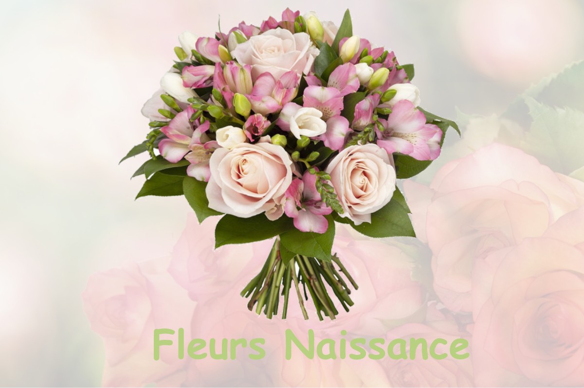 fleurs naissance SAINT-GEORGES-LE-FLECHARD